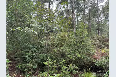 29314 M Lane, Ocean Park, WA 98640 - Photo 27