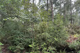 29314 M Ln, Ocean Park, WA 98640 - Photo 27