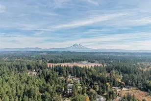4809 240th St E, Graham, WA 98338 - Photo 39