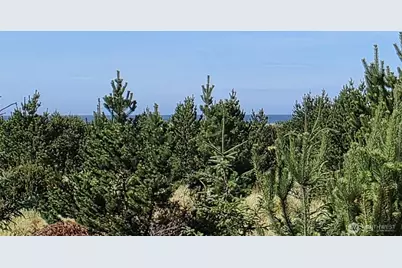 22955 Pacific Way, Ocean Park, WA 98640 - Photo 21
