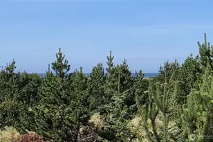22955 Pacific Way, Ocean Park, WA 98640 - Photo 21