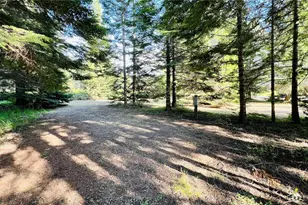 7010 W Dahl Rd, Deer Park, WA 99006 - Photo 35