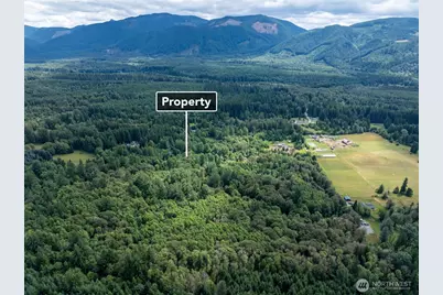 28907 State Route 706, Ashford, WA 98304 - Photo 9