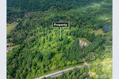 28907 State Route 706, Ashford, WA 98304 - Photo 19