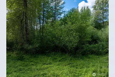 28907 State Route 706, Ashford, WA 98304 - Photo 29