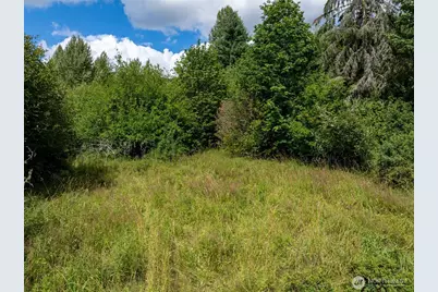 28907 State Route 706, Ashford, WA 98304 - Photo 3