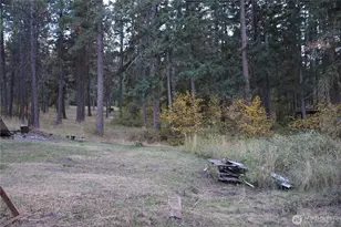 11231 Hwy 970, Cle Elum, WA 98922 - Photo 15