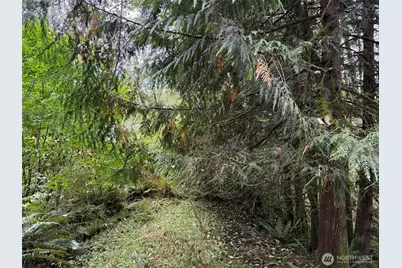 376 Xx E Lake Walker Drive SE #A, Enumclaw, WA 98022 - Photo 11