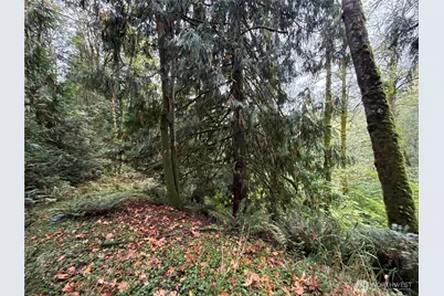376 Xx E Lake Walker Drive SE #A, Enumclaw, WA 98022 - Photo 7