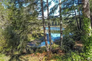 191 E Sandy Lake Dr, Shelton, WA 98584 - Photo 21
