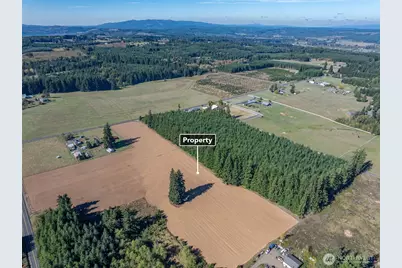 0 Lot 1 Frogner Road, Chehalis, WA 98532 - Photo 9