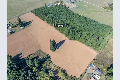 0 Lot 1 Frogner Road, Chehalis, WA 98532 - Photo 7