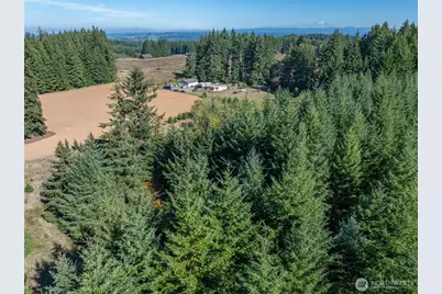 0 Lot 3 Brown Road W, Chehalis, WA 98532 - Photo 15