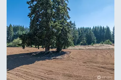 0 Lot 3 Brown Road W, Chehalis, WA 98532 - Photo 11