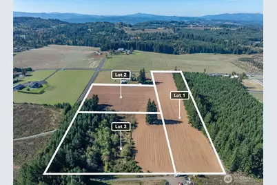 0 Lot 3 Brown Road W, Chehalis, WA 98532 - Photo 7