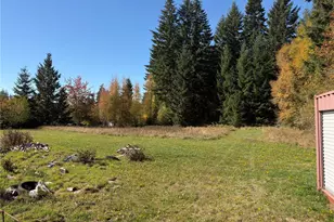 166 Allman Rd, Winlock, WA 98596 - Photo 7