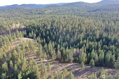 9 Marmot Alley Road, Tonasket, WA 98855 - Photo 9