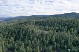 9 Marmot Aly Rd, Tonasket, WA 98855 - Photo 1