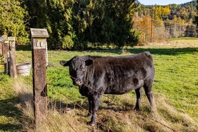 [Address not provided], Concrete, WA 98237 - Photo 33