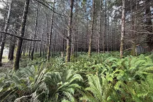 0 Monohon Landing Rd, Raymond, WA 98577 - Photo 1