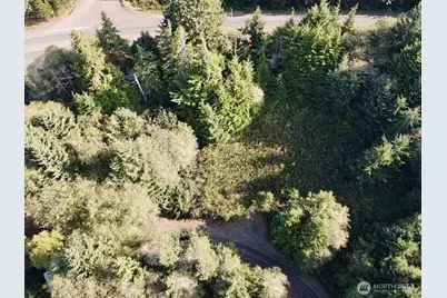 0 X Lyons Lane, Aberdeen, WA 98520 - Photo 17