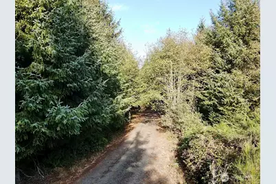 0 X Lyons Lane, Aberdeen, WA 98520 - Photo 11