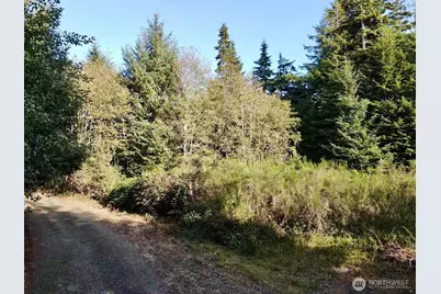 0 X Lyons Lane, Aberdeen, WA 98520 - Photo 9