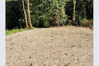 0 Lot 3 E Emily Lane, Shelton, WA 98584 - Photo 5