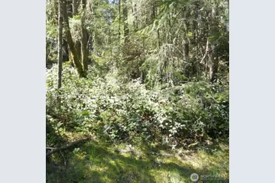 10510 Olympic Place, Anderson Island, WA 98303 - Photo 1