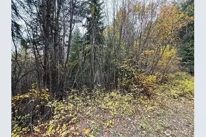 91 Edgewood Lane, Curlew, WA 99118 - Photo 19
