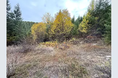 91 Edgewood Lane, Curlew, WA 99118 - Photo 9