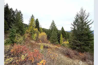 91 Edgewood Lane, Curlew, WA 99118 - Photo 15