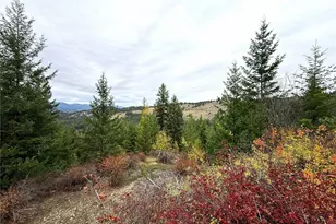 91 Edgewood Ln, Curlew, WA 99118 - Photo 1