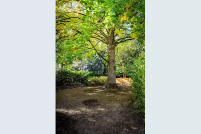702 11th Avenue SE, Olympia, WA 98501 - Photo 33