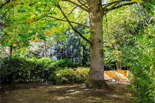 702 11th Ave SE, Olympia, WA 98501 - Photo 33