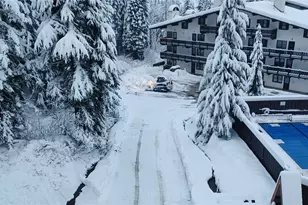 17700 Alpental Access Road NE, Snoqualmie Pass, WA 98045 - Photo 25