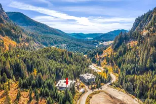 17700 Alpental Access Road NE, Snoqualmie Pass, WA 98045 - Photo 15