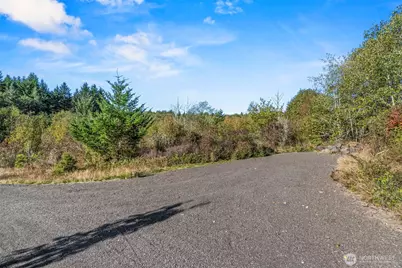 331 Sudden Valley Drive, Castle Rock, WA 98611 - Photo 3