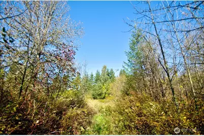 110 Frost Road, Toledo, WA 98596 - Photo 5