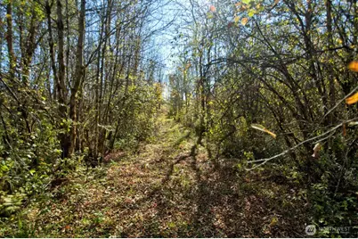 110 Frost Road, Toledo, WA 98596 - Photo 13