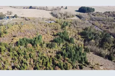 110 Frost Road, Toledo, WA 98596 - Photo 23