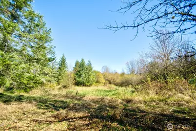 110 Frost Road, Toledo, WA 98596 - Photo 7
