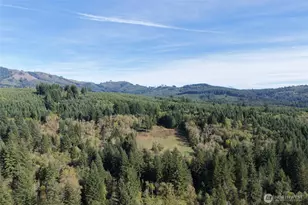 33827 NE Lessard Rd, Camas, WA 98607 - Photo 1