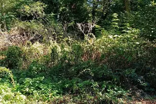 97 J Saratoga, Hat Island, WA 98206 - Photo 1