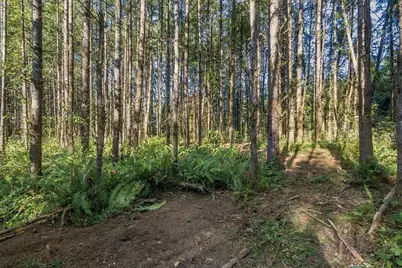 0 Xxx Burchett Road, Onalaska, WA 98570 - Photo 29