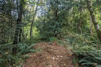 0 Xxx Burchett Road, Onalaska, WA 98570 - Photo 23
