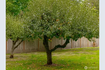 14220 50th Avenue E, Tacoma, WA 98446 - Photo 33