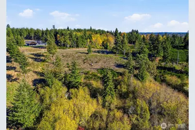 3 E Lone Fir Drive, Shelton, WA 98584 - Photo 9