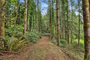 602 Harrison St N, Raymond, WA 98577 - Photo 29