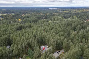 6608 243rd St E, Graham, WA 98338 - Photo 39